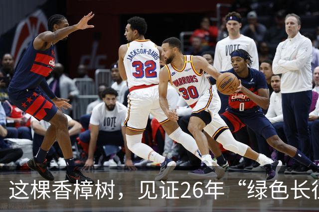 这棵香樟树，见证26年“绿色长征”